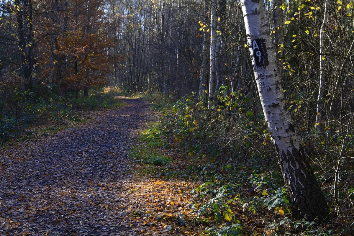 Vom Wissen zum Tun: So baust du dein System